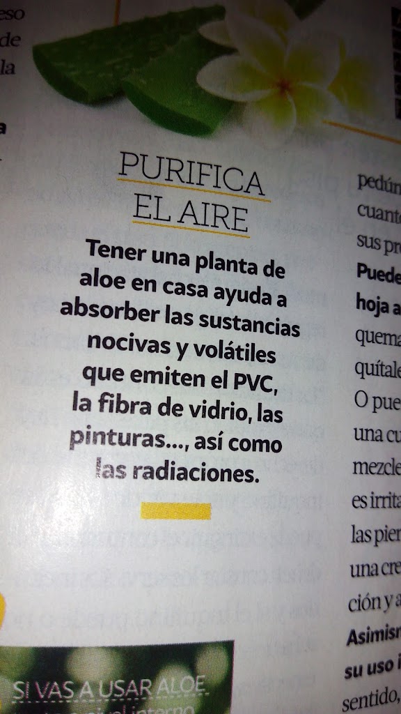 Blue 01 Stylist by Felix Rojas (Rubi) — Carta