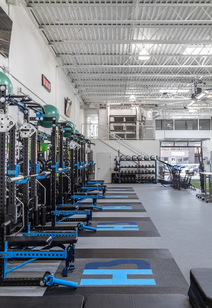  Healthy Baller Alexandria