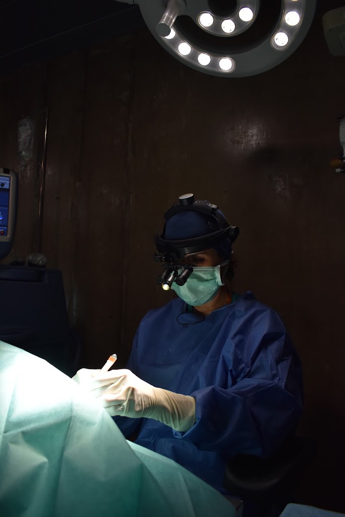 VEO - Oftalmologia Veterinaria — Del propietario