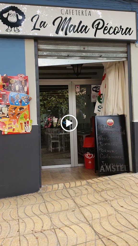"mala pecora" — Videos