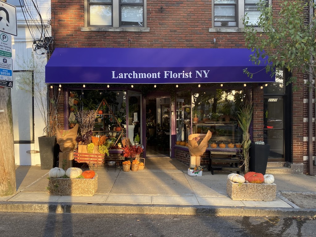Larchmont Florist NY