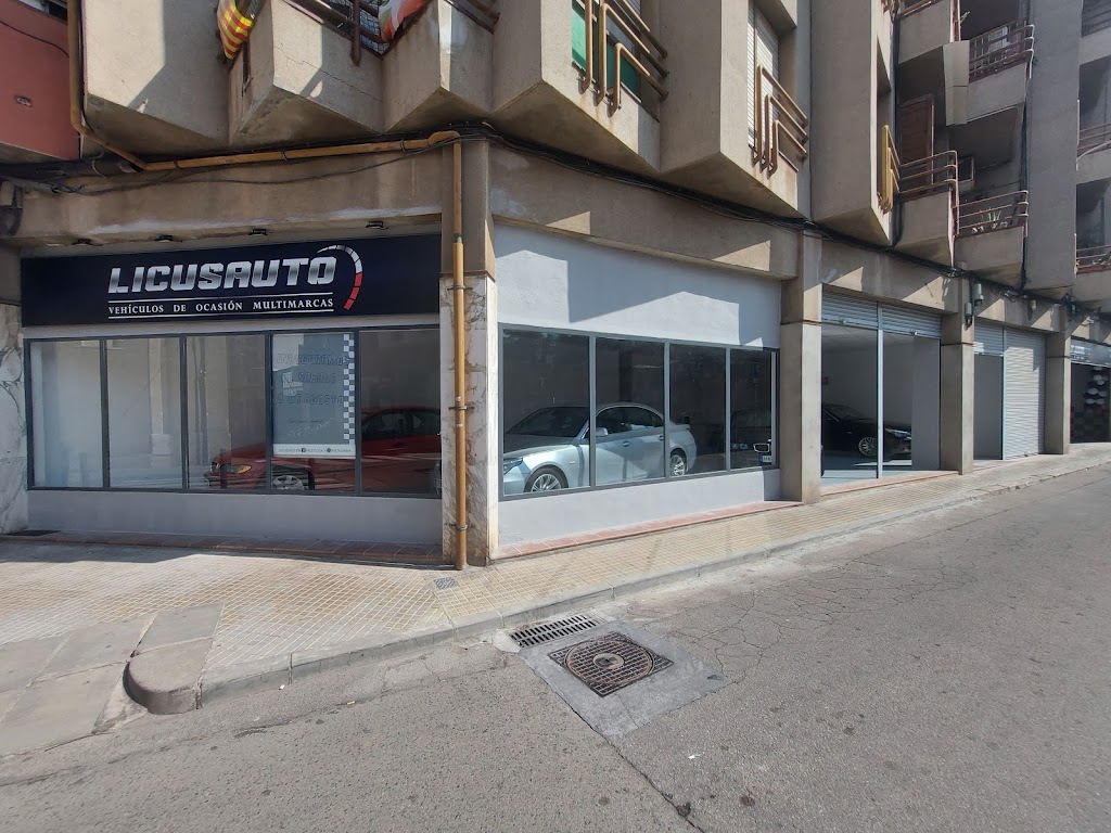 LicusAuto & Cardetail - Taller mecanico en Vilafranca — Del propietario