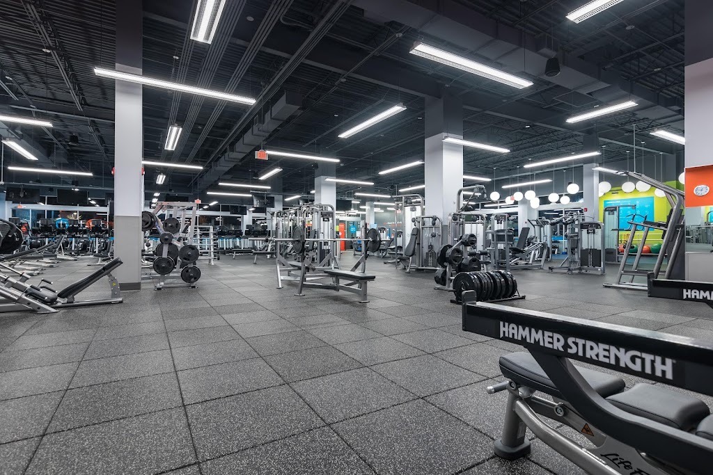  Blink Fitness (PureGym)