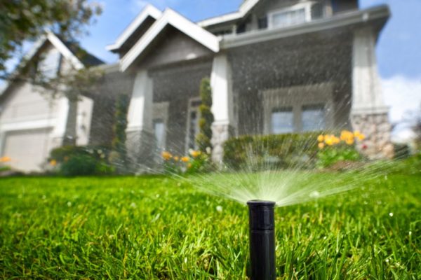 Dallas Landscape and Irrigation Inc
