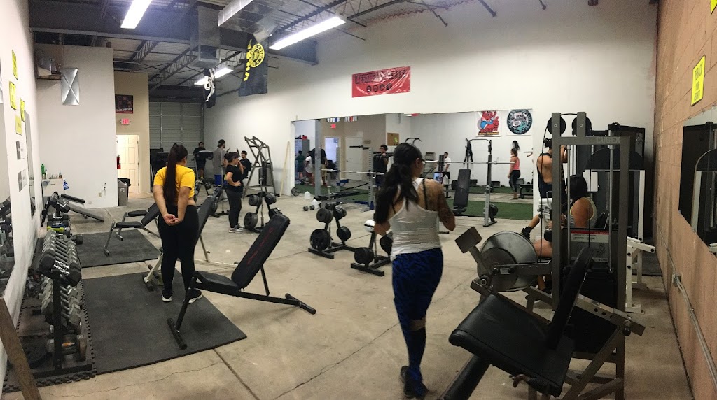  Aesthetic Freaks Training