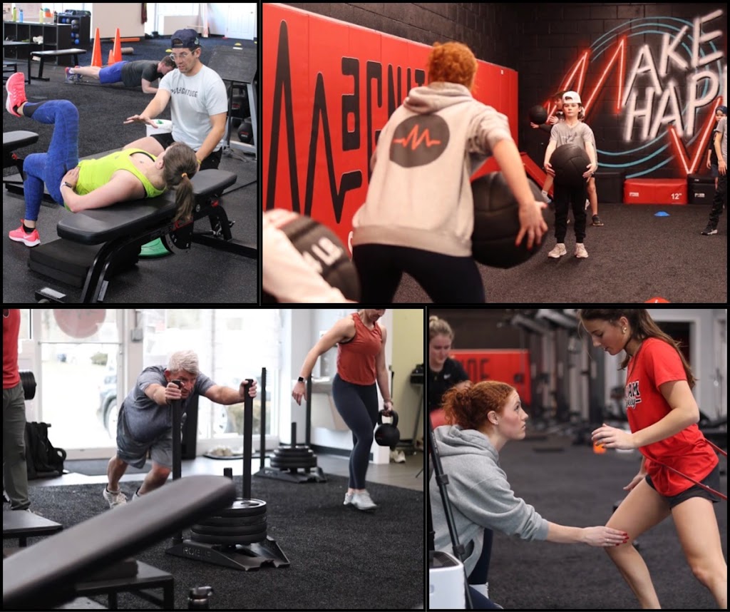  Magnitude Strength & Power