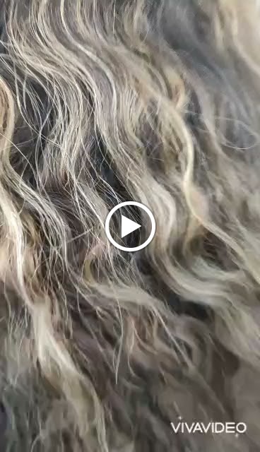 Araceli Alarcon — Peinado