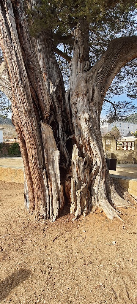 Museo de Premia de Dalt