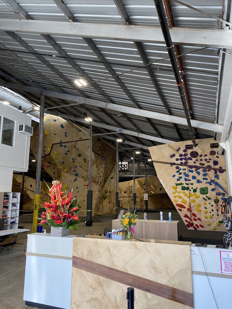  HiClimb | Rock Climbing and Yoga