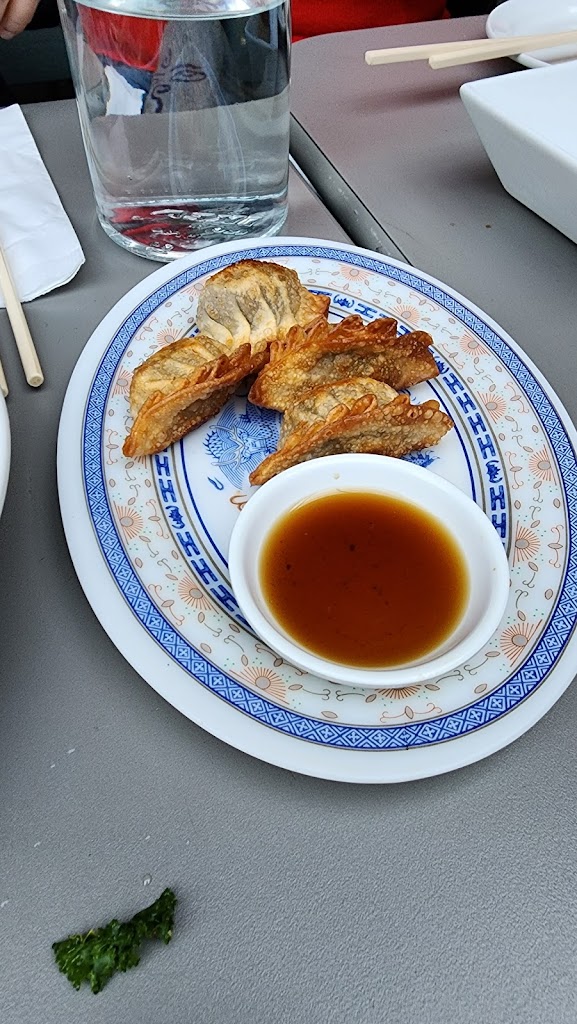 Pot stickers