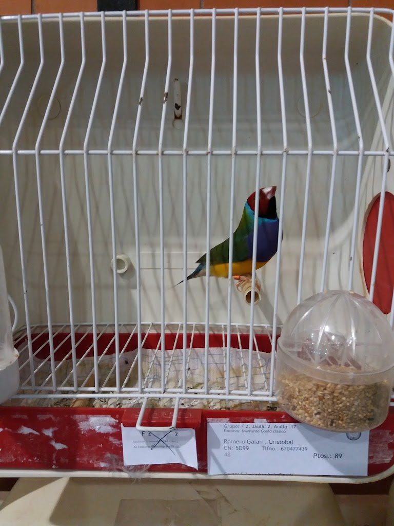 Complejo deportivo Jesus Navas