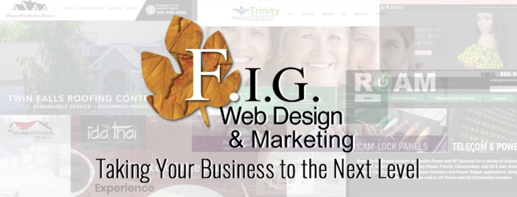 Fig Web Design Marketing