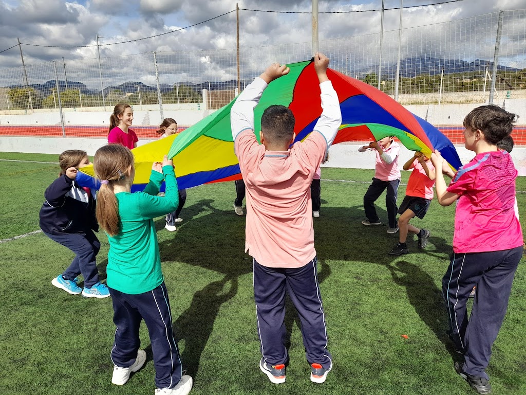 Col*legi Sant Vicenc de Paul Inca - FECIB