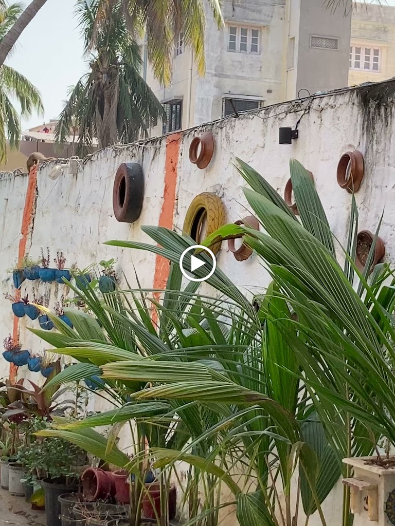 Dream Vision Guest House