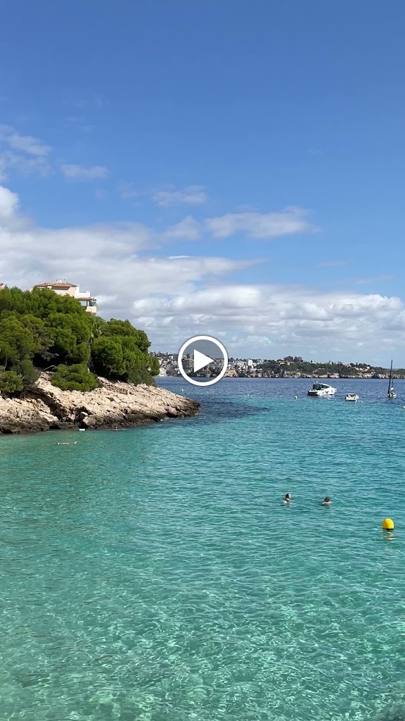 Beewi Paseo Mallorca — Videos