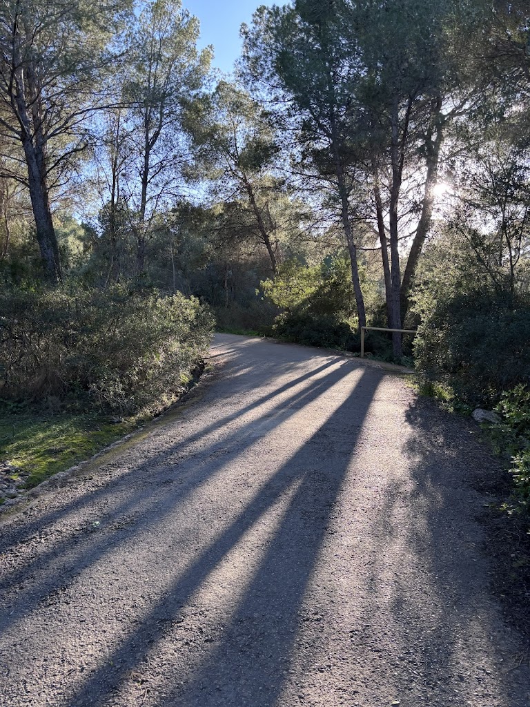Ruta de Senderismo del Castillo de Bellver