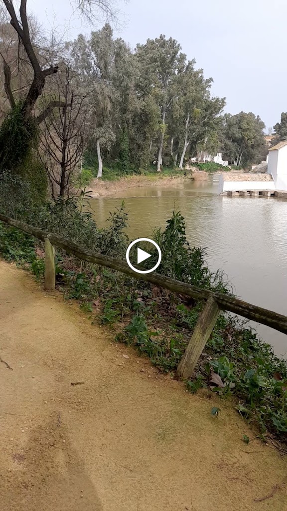 Restaurante Caprichos Del Chef — Videos