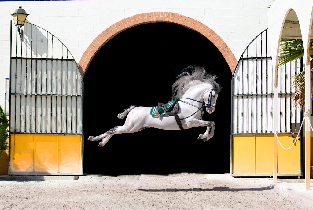 Club Hipico El Ranchito