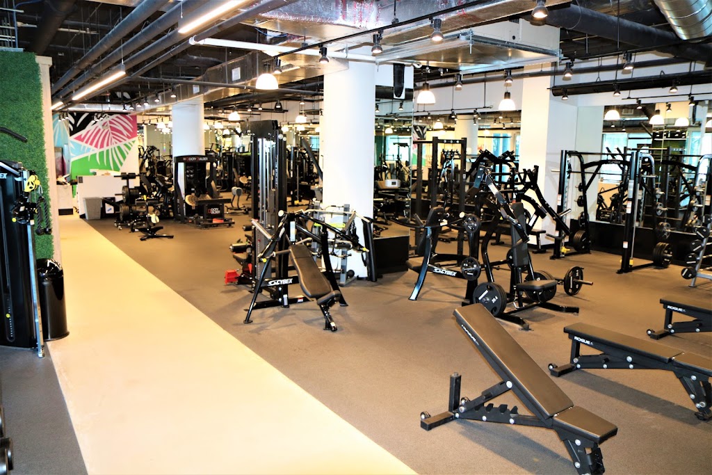  Miami Strong Gym