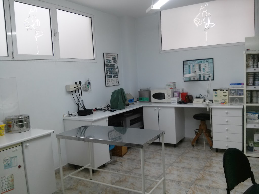Lion Klinika Veterinaria — Del propietario