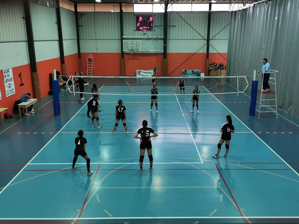 Pavello municipal d'esports d'Olot