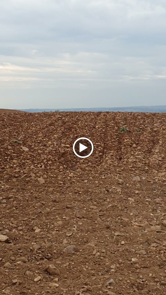 Mirador del Cigarral — Videos