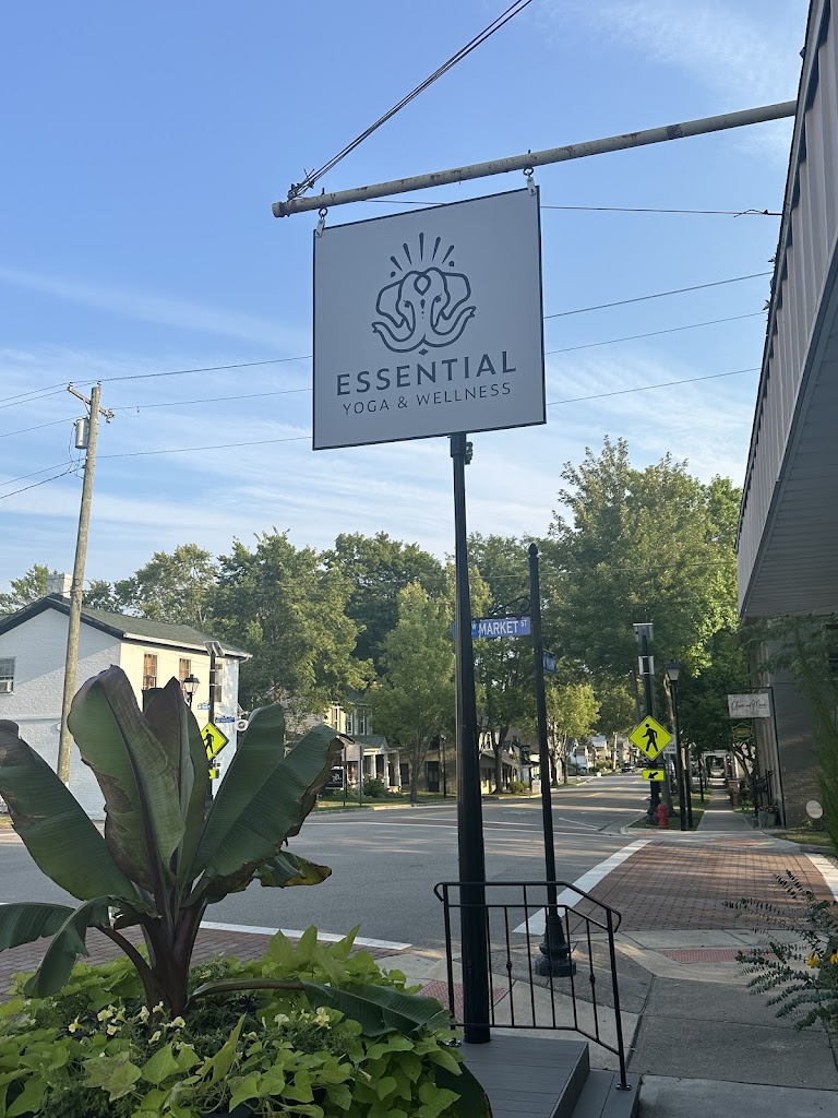  Essential Yoga and Wellness