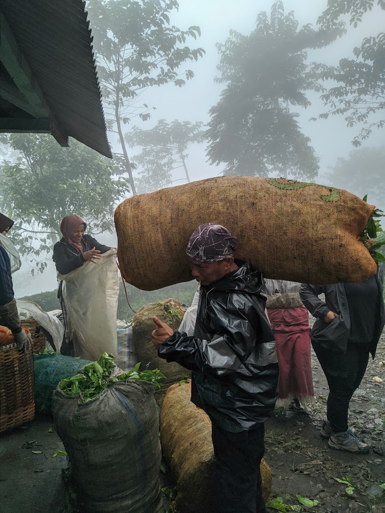 Pos 6 Highlight Shadow Mountain Cikuray