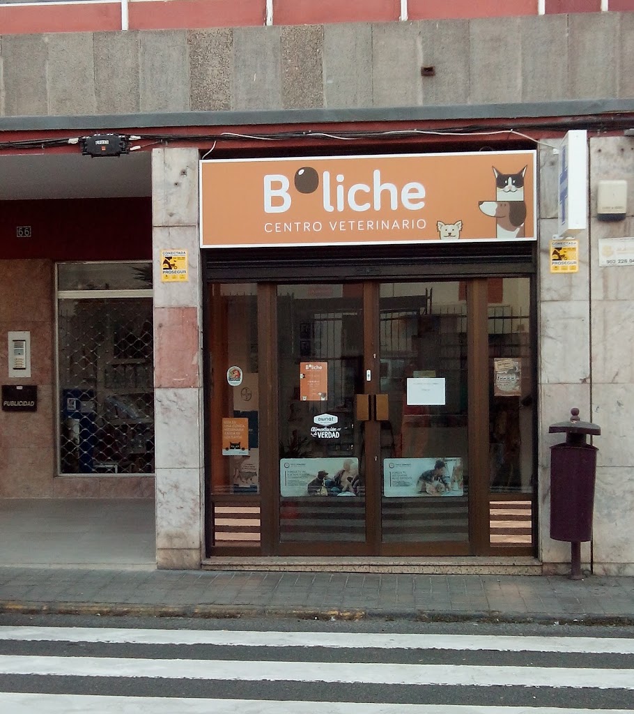 Centro Veterinario BOLICHE - Veterinario en Las Palmas de Gran Canaria — Del propietario