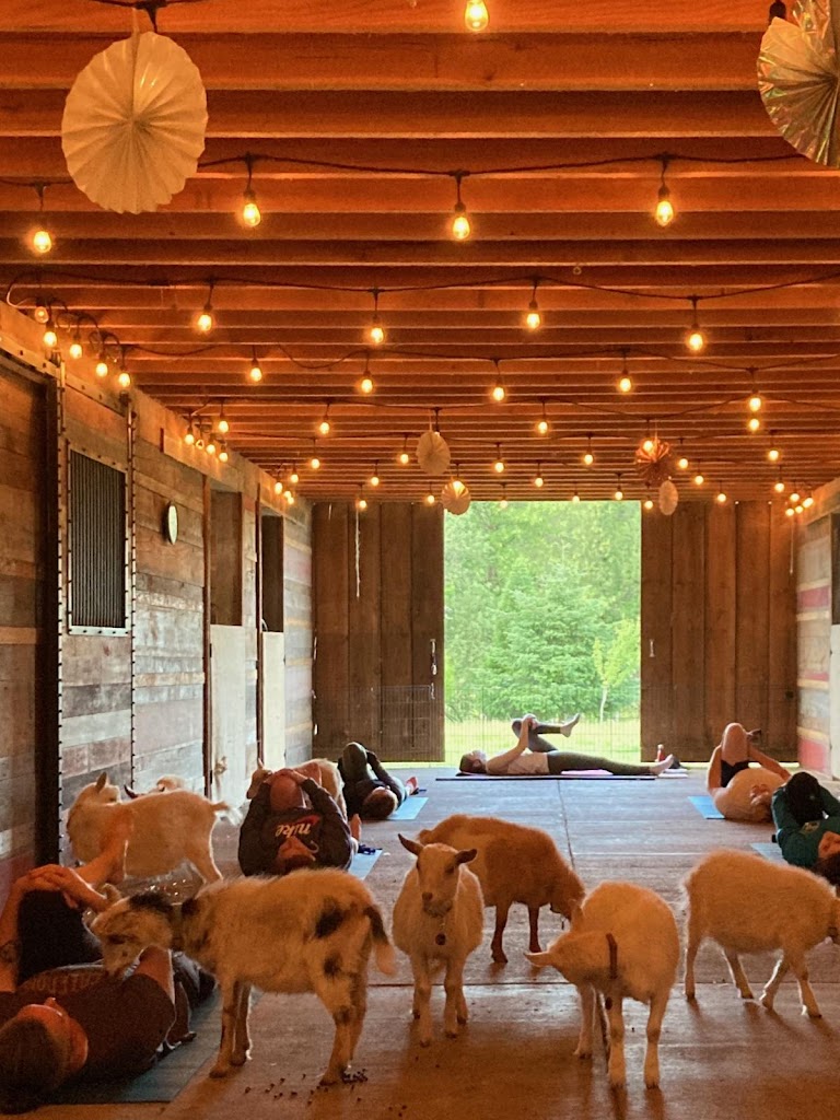  Salem Goat Yoga