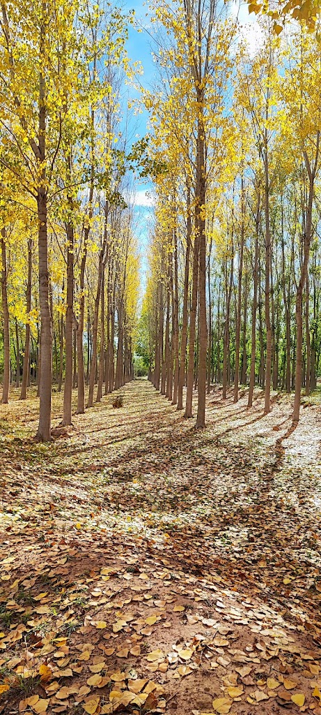 Centro Rural Agrupado Rio Mundo Agramon