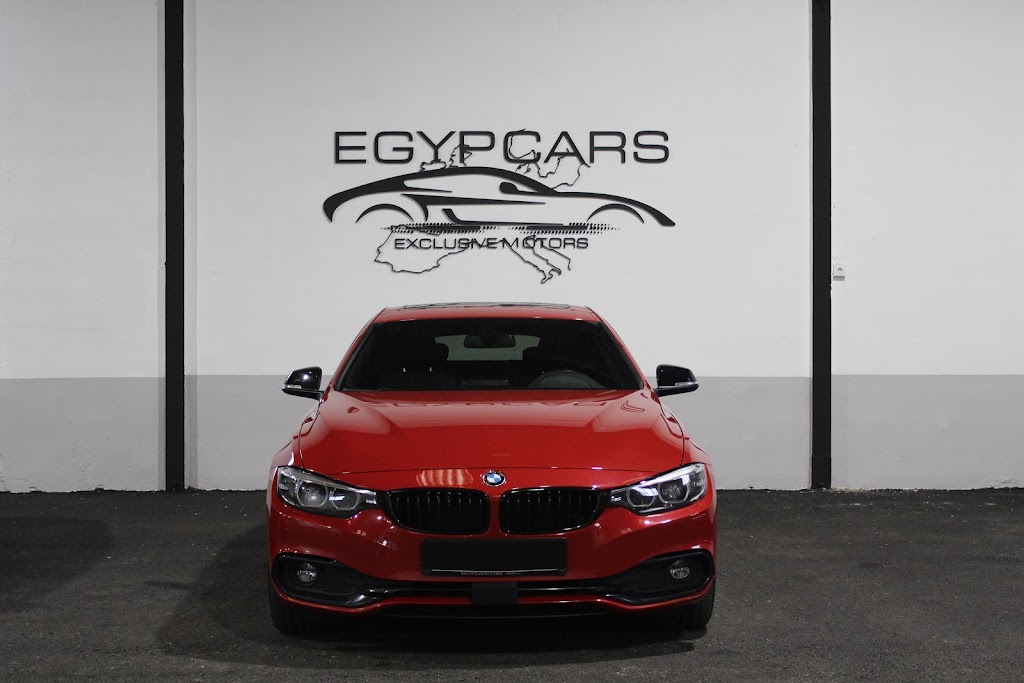 Egypcars — Del propietario