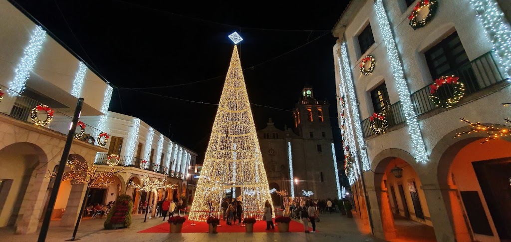 Arbol de Navidad e iluminacion Navidena