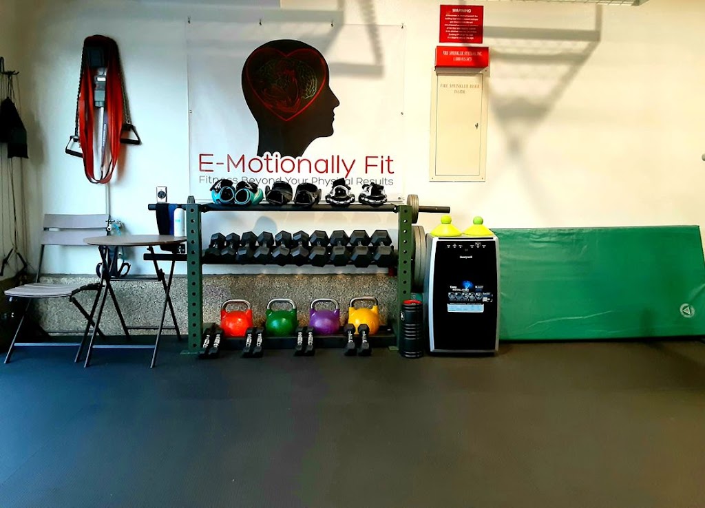  E-MotionallyFit