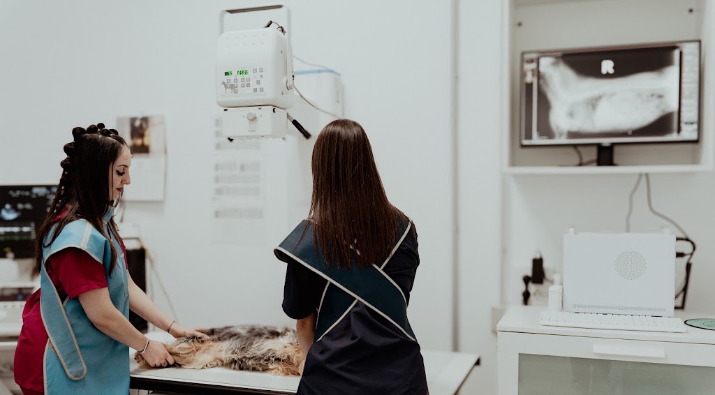 El Corral Clinica Veterinaria — Del propietario