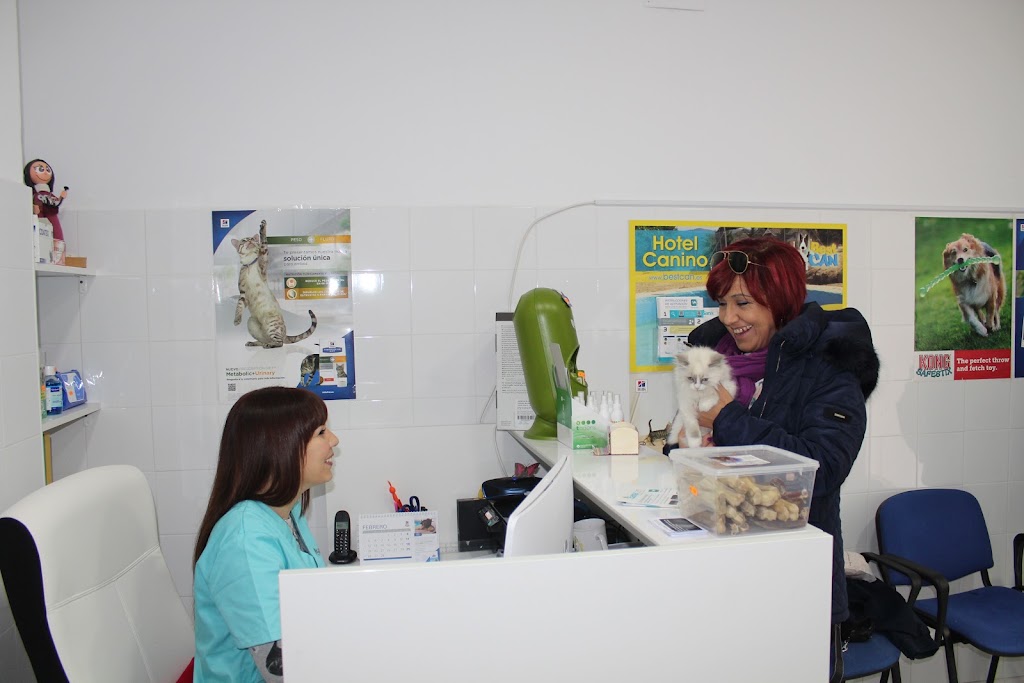SANACAN Clinica Veterinaria — Del propietario