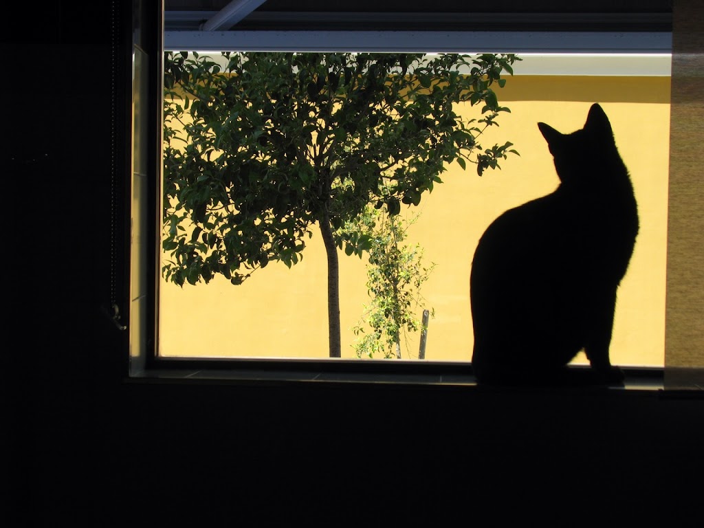 Clinica Veterinaria Taoro