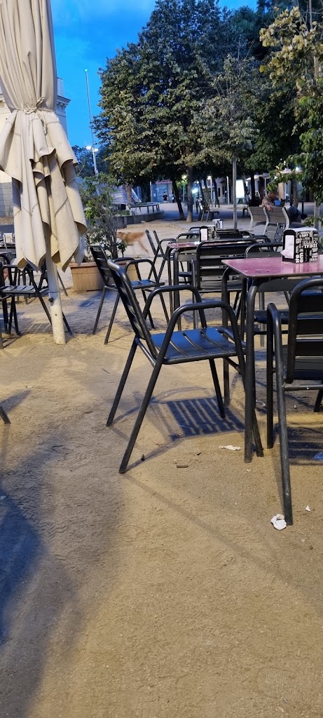 Bar San Carlos Park — Ambiente