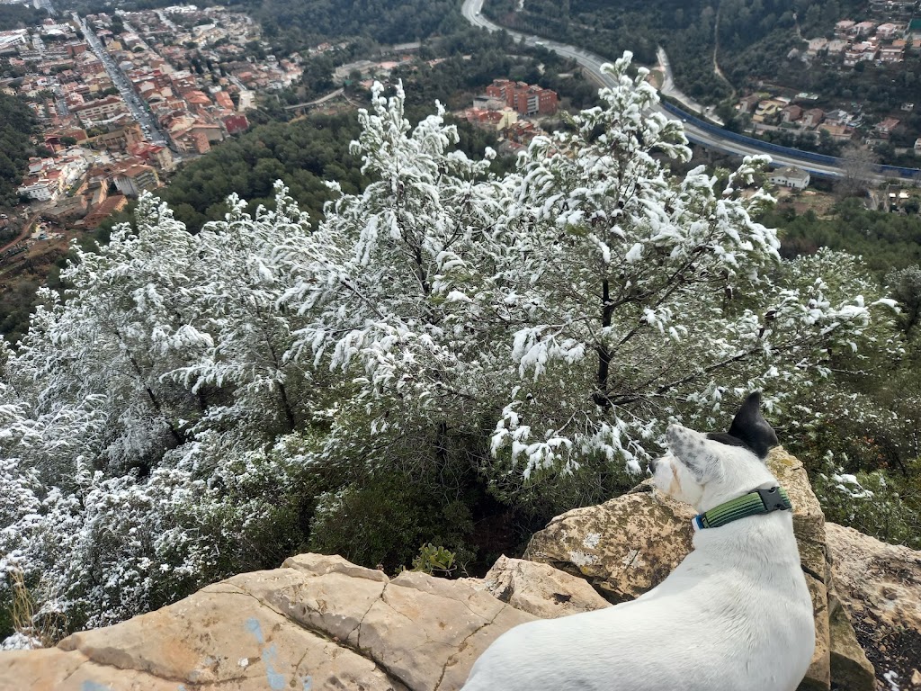 Camino de las Roviras