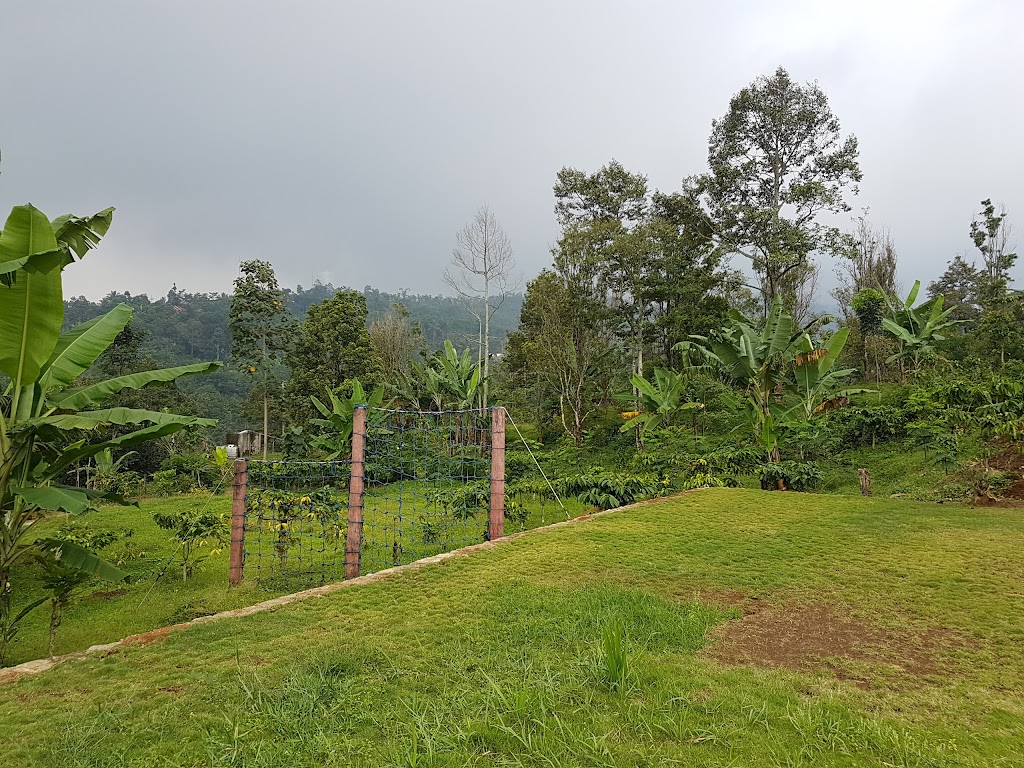 Fun Camping Wonosalam