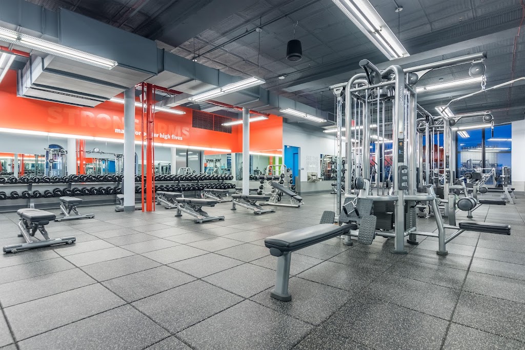  Blink Fitness (PureGym)