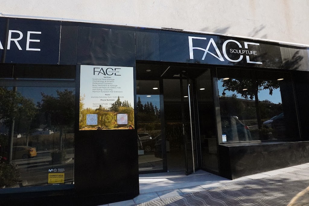 Face Sculpture