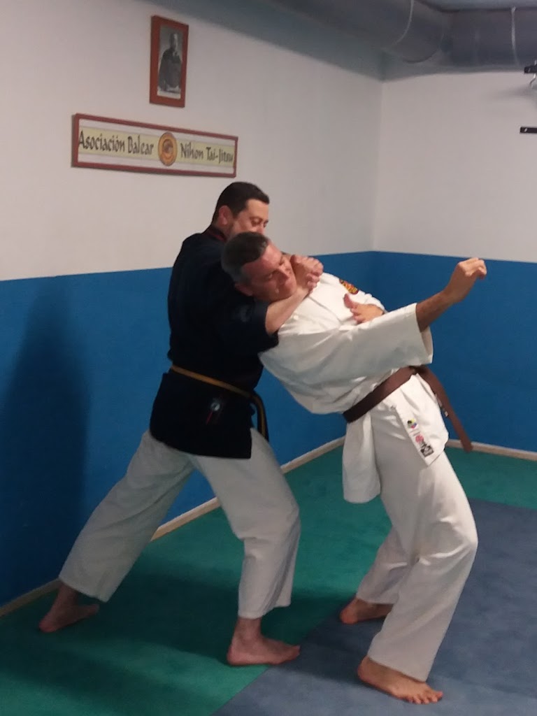 Asociacion Balear Nihon Tai-Jitsu
