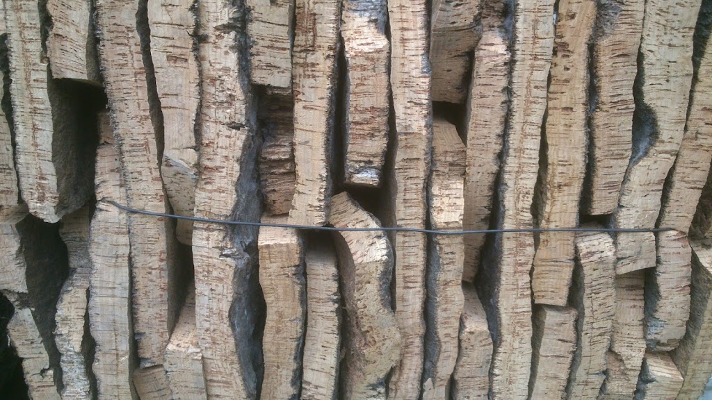 Aparcamiento El Suro