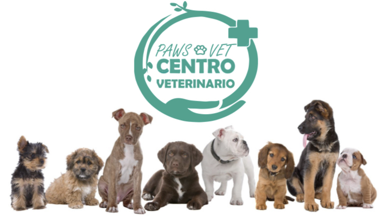 Paws Vet Hospital Veterinario en Lampa