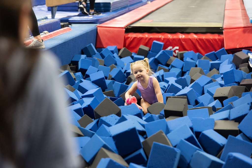  Bay City Gymnastics Academy