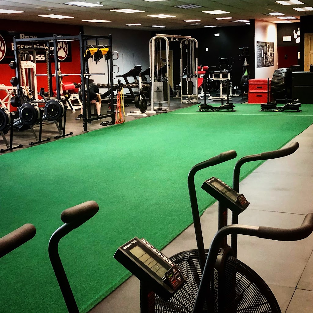  Bear Essentials Fitness