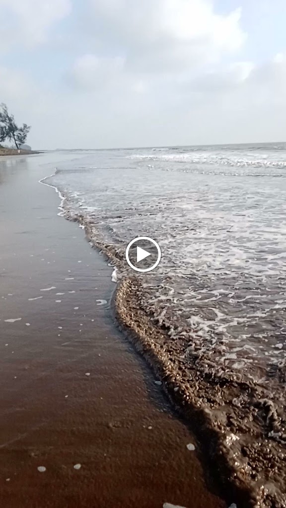 Videos