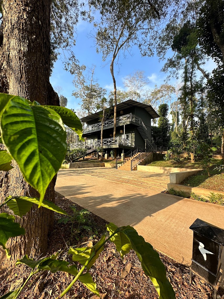 Machaan Wilderness Lodge Nagarahole