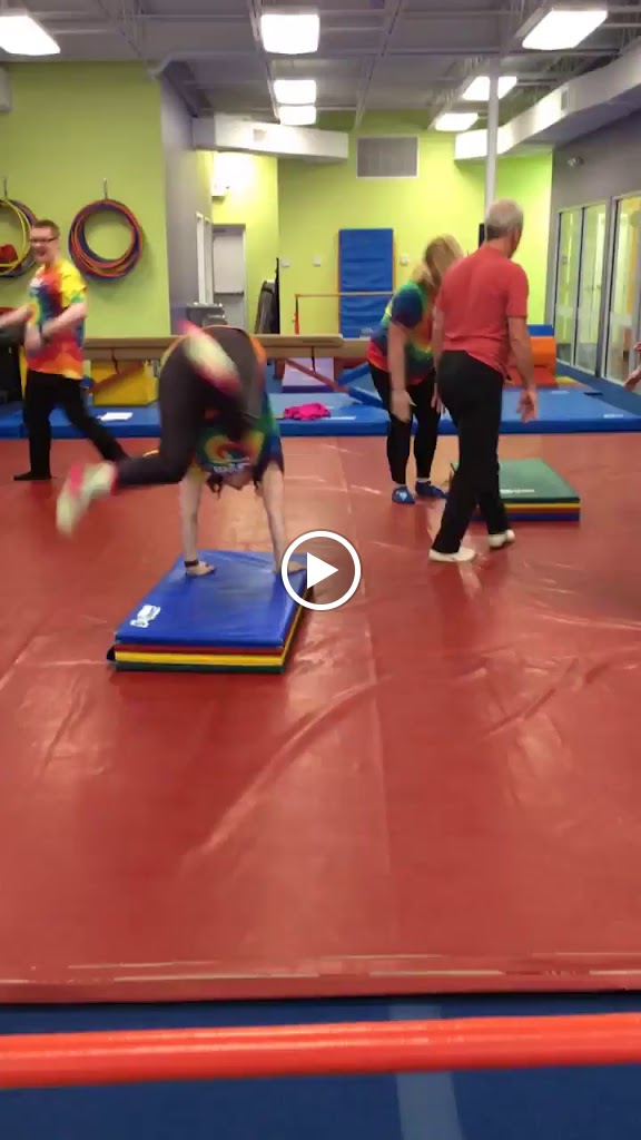  The Little Gym of Fenton